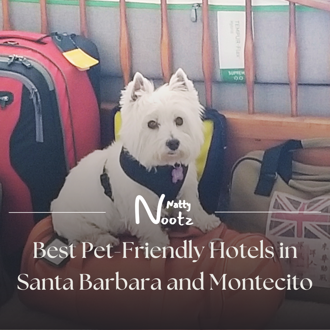 Best Pet-Friendly Hotels in Santa Barbara and Montecito: A Comprehensive Guide