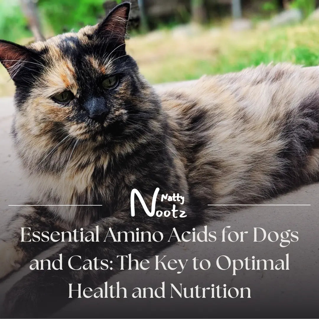 Essential Amino Acids for Dogs and Cats: The Key to Optimal Health and Nutrition