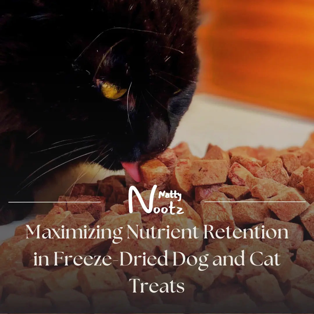 Maximizing Nutrient Retention in Freeze-Dried Dog and Cat Treats: The Ultimate Guide to Storage and Extended Shelf Life