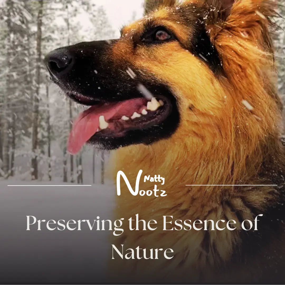 Preserving the Essence of Nature: Why We Choose Violet Glass for Our Organic Freeze-Dried Dog and Cat Treats