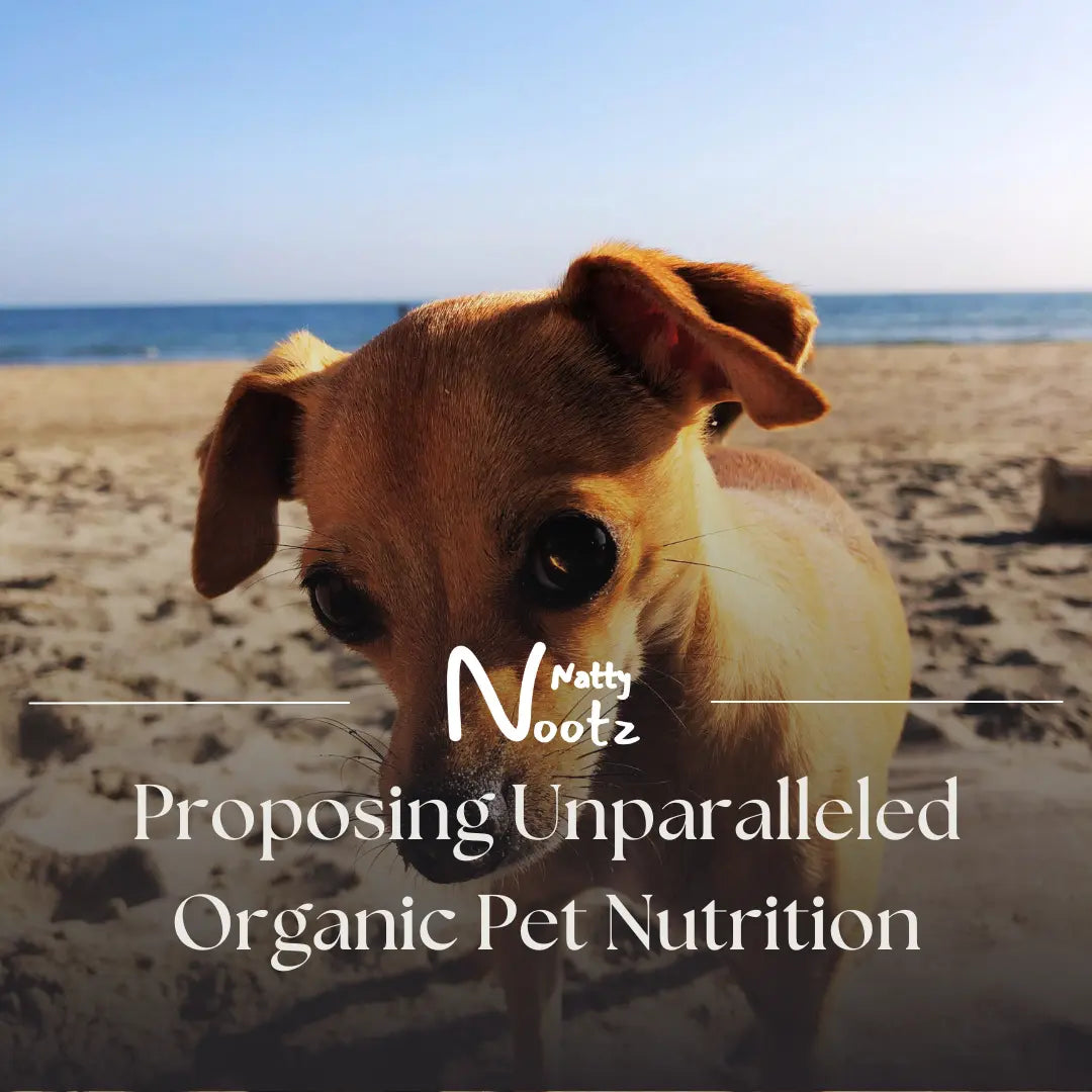 Proposing Unparalleled Organic Pet Nutrition: A Commitment to Well-being and the Planet