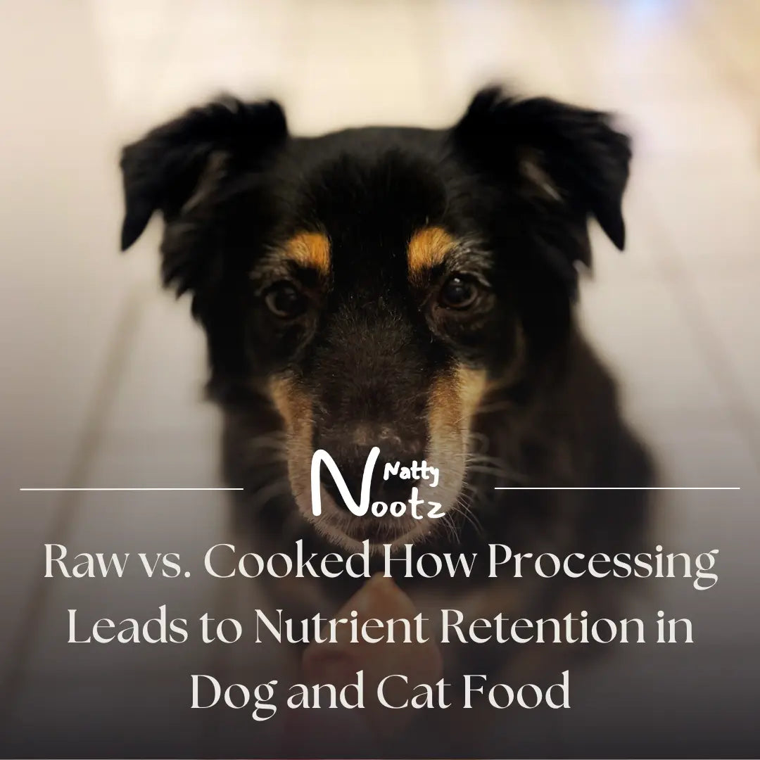 Raw vs. Cooked How Processing Leads to Nutrient Retention in Dog and Cat Food