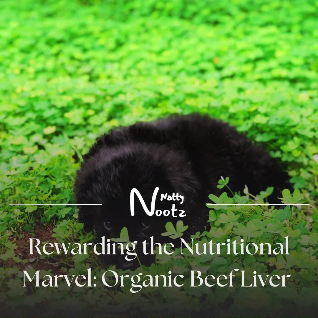 Rewarding the Nutritional Marvel: Organic Beef Liver Treats for Dogs and Cats Health Benefits and Safety