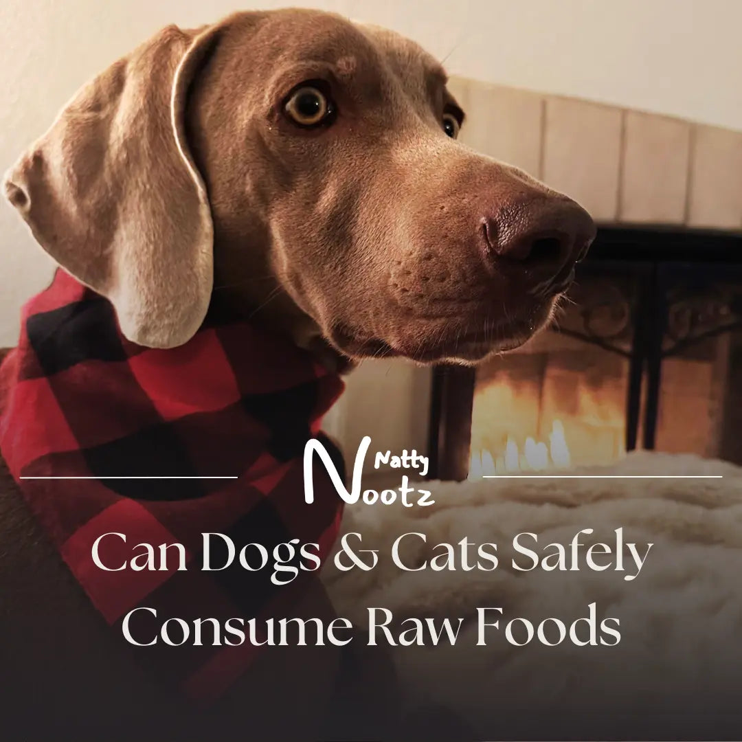 Can Dogs & Cats Safely Consume Raw Beef Liver & Other Raw Food?