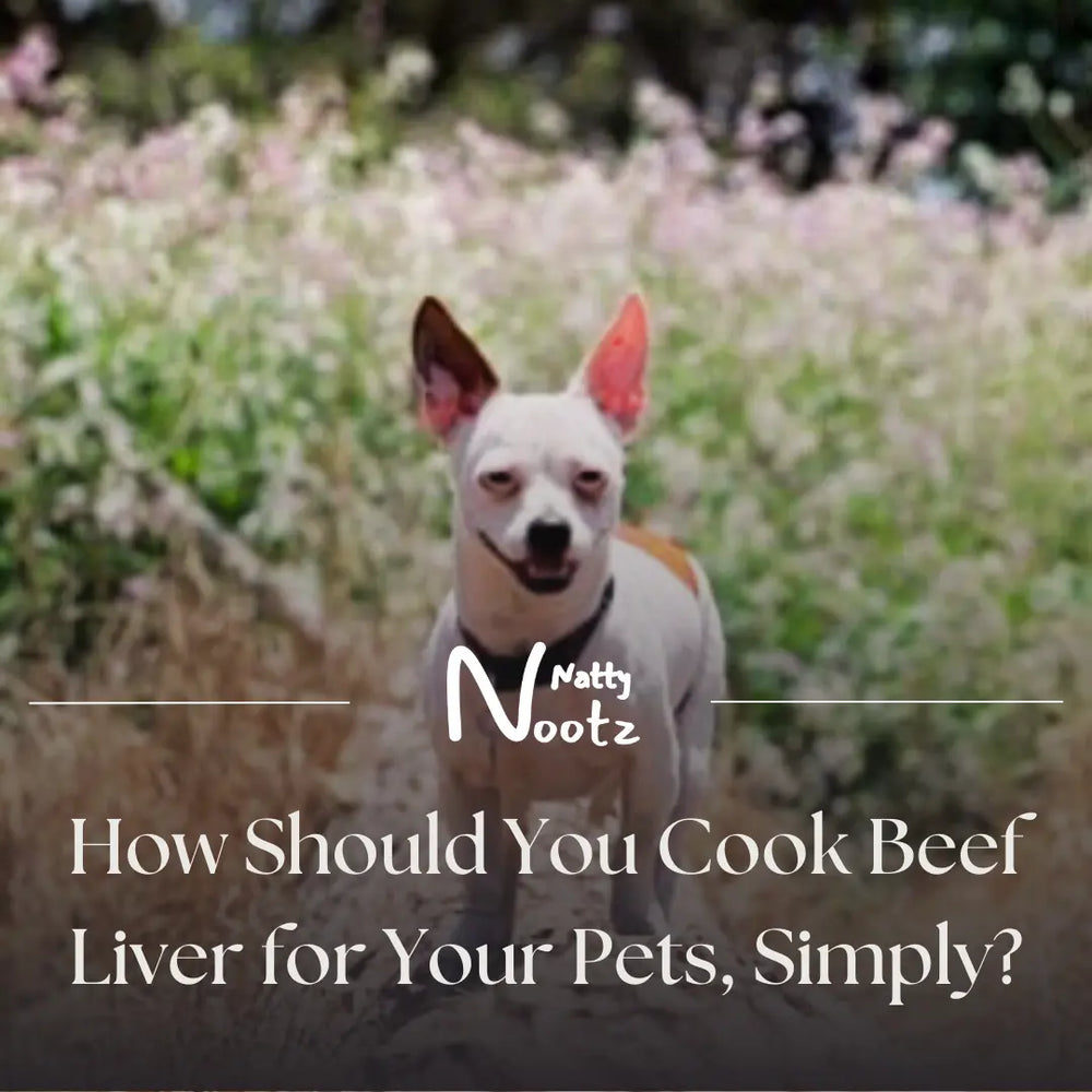 How Should You Cook Beef Liver for Your Pets, Simply?
